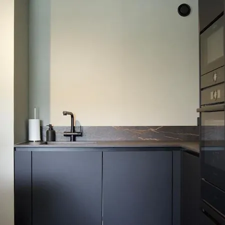 Design With Sauna And In Appartamento Helsinki