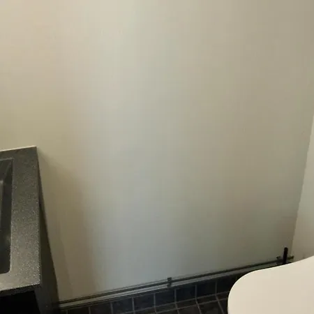 Design With Sauna And In Helsinki