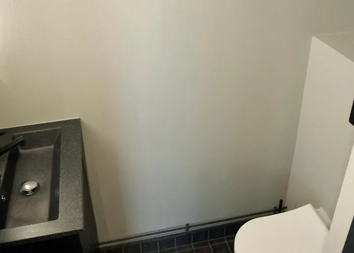 Design With Sauna And In ヘルシンキ